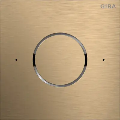Gira System 106 spraakmodule IP brons (5592921)