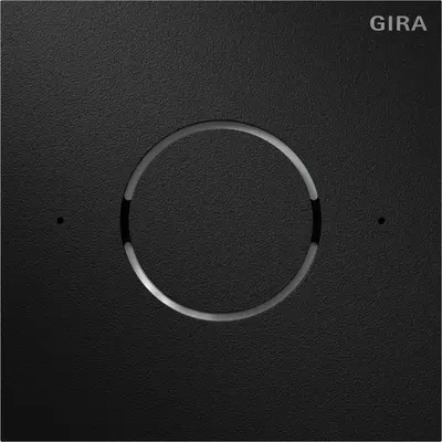 Gira System 106 spraakmodule IP zwart (5592925)