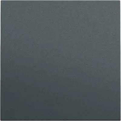 Gira schakelwip Systeem 70 antraciet mat (329673)