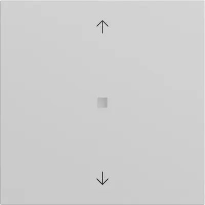 Gira drukcontact met 1-voudige wip en pijlsymbolen voor Gira One en KNX Systeem 70 grijs mat (517276)