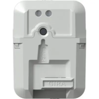 Gira 2-dr-omzetter ip client (121300)