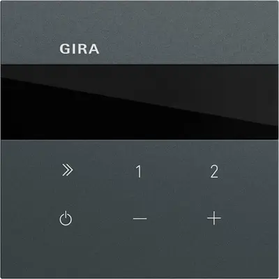 Gira internetradio inbouw Systeem 70 antraciet mat (232073)