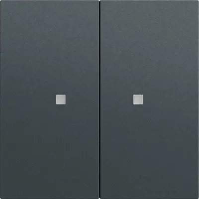 Gira drukcontact met 2-voudige wip voor Gira One en KNX Systeem 70 antraciet mat (517373)