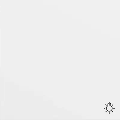 Gira schakelwip met symbool licht Systeem 70 wit mat (328572)