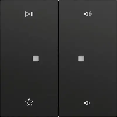 Gira wip 2-voudig audiobesturing Systeem 70 zwart mat (538474)