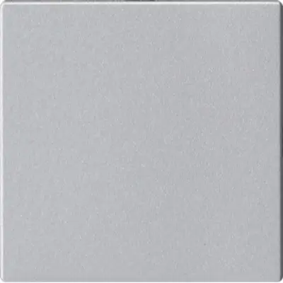 Gira blind-cpl z/draagring s55 alu (810826)