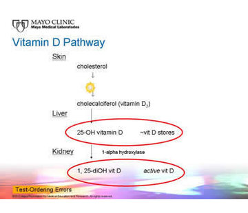 Active Vitamin D