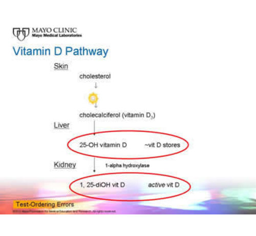 Actief Vitamine D 1,25-di-Hydroxy actief vitamine D