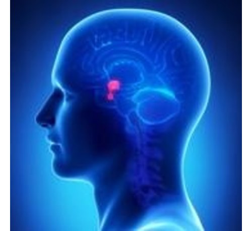 Pituitary blood test