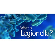 Legionella Legionnaires' disease from urine