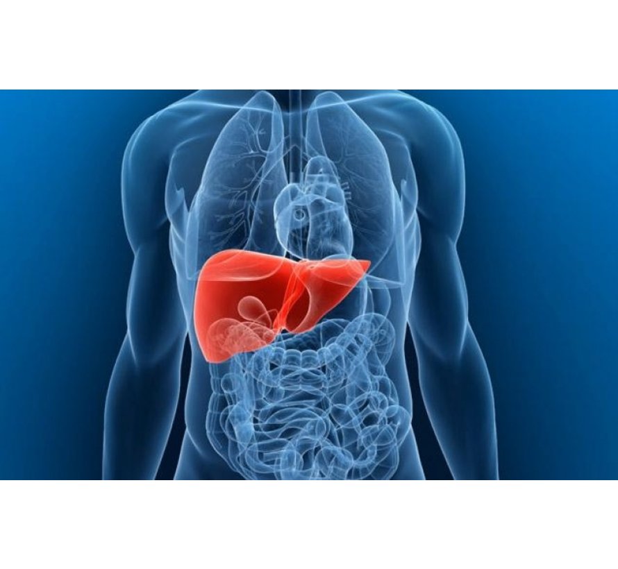 Liver diseases combo: ALT, AST and Gamma GT