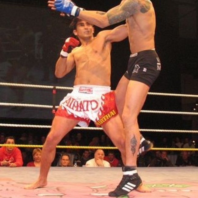 Mixed Martial Arts MMA Bloedwaarden