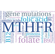 MTHFR gene mutation C677T