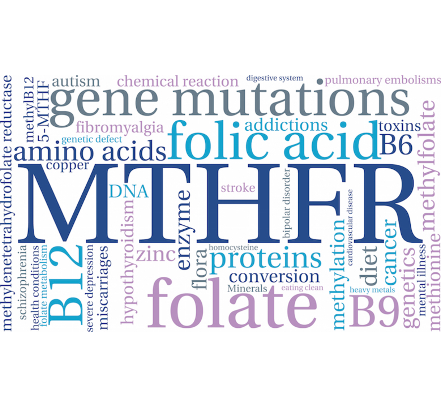 MTHFR genetisch onderzoek