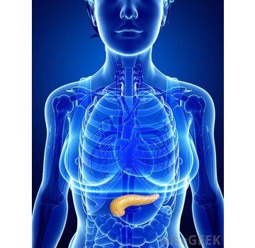 Pancreatic elastase from feces