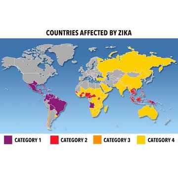 Zika Virus IgM