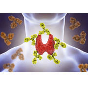 TSH, FT4 , FT3, anti-TPO , vitamin D, B12 and ferritin