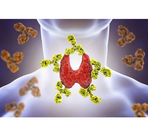 TSH-Receptor as ziekte van Graves schildklier