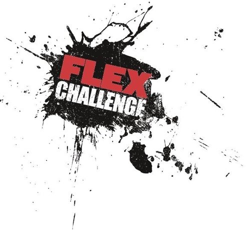 Flex Challenge test