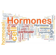 LH hormone