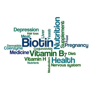 Vitamine H Biotine vitamine B8