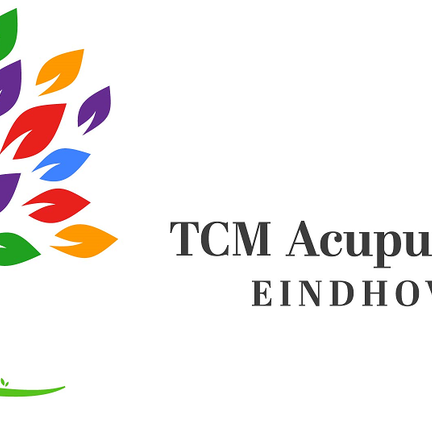 TCM Acupuncture Eindhoven