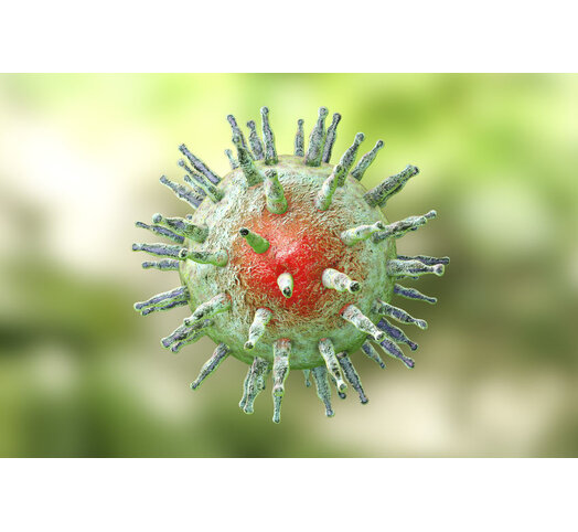 Pfeiffer Espstein Barr Virus PCR