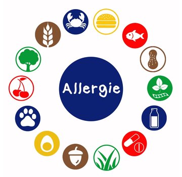 Allergietest overig