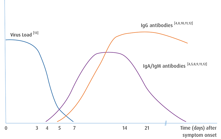 covid-19 antibodies progression over time