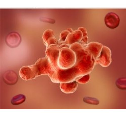 gastro pcr panel darmparasieten feces