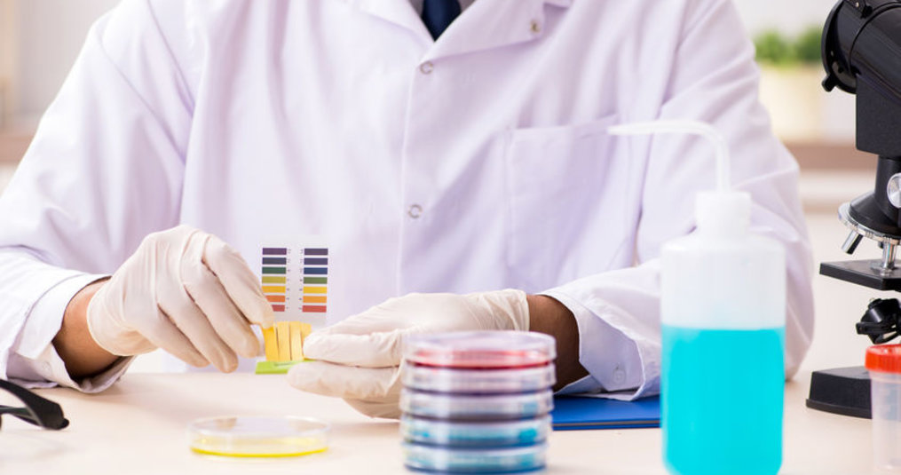 3 main types of urinalysis