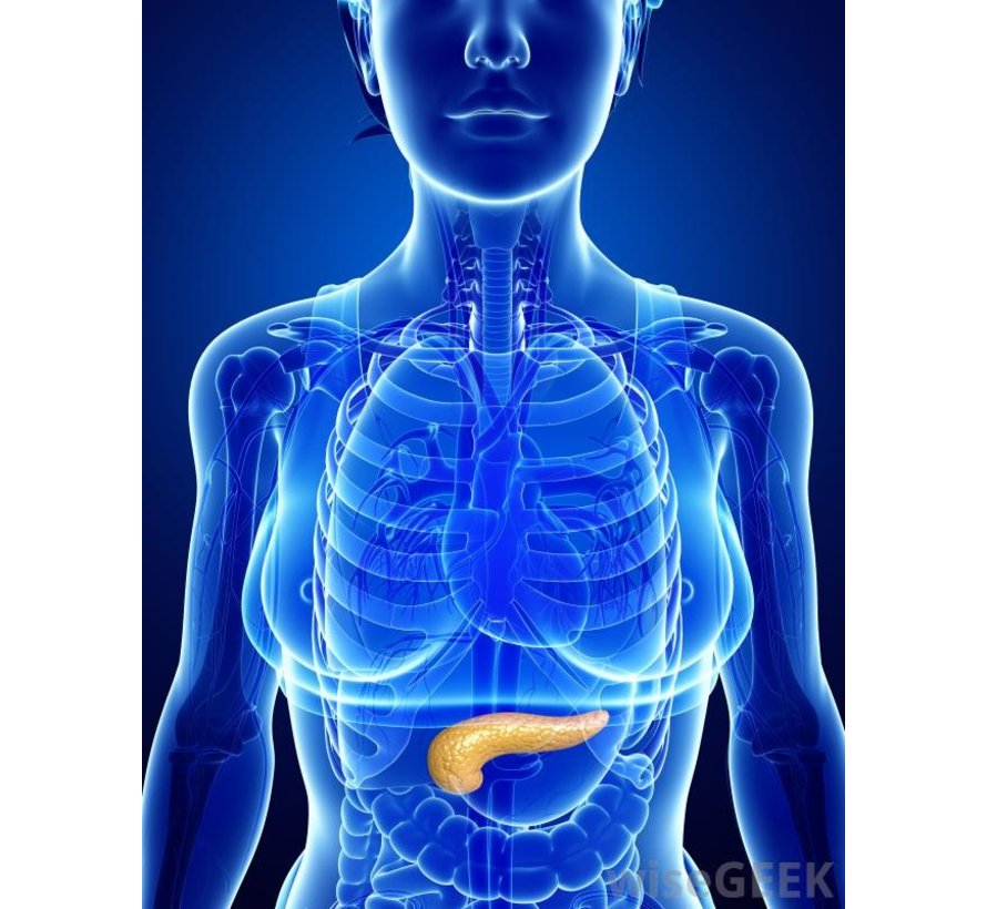 Pancreaselastase  Alvleesklier uit faces -RP