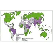 Leishmania