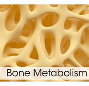 NTx Crosslinks in urine  osteoperose