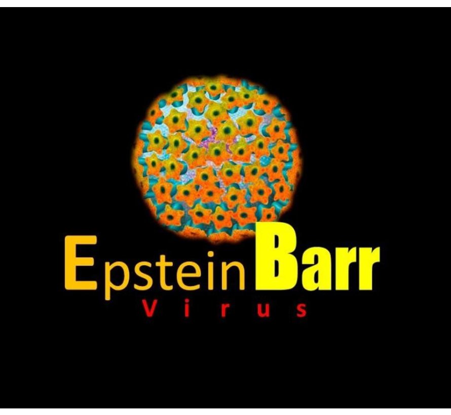 Ziekte van Pfeiffer Epstein Barr virus Blot