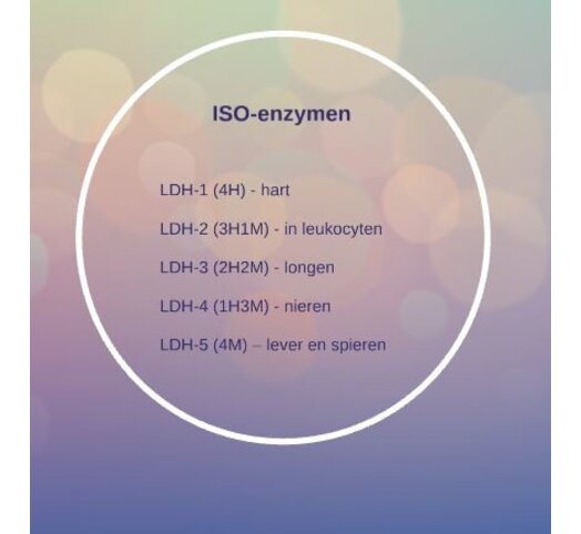 LDH isoenzymen (LDH 1 - 5)