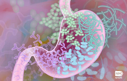 Chronische darmaandoeningen opsporen?	