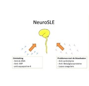 anti-dsDNA antibodies