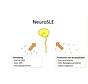 anti-dsDNA antibodies