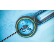 Egg donation IVF Blood test