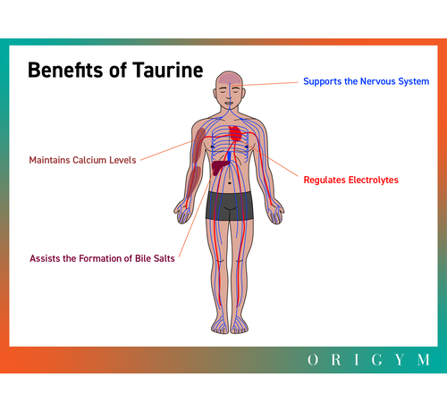 Taurine bloedonderzoek