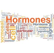 Large Hormone Profile Female Saliva Test RP