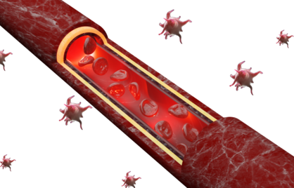 Wat zijn trombocyten en wat is de normaalwaarde?
