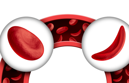 Wat is hematocriet en wat is de normaalwaarde van hematocriet?