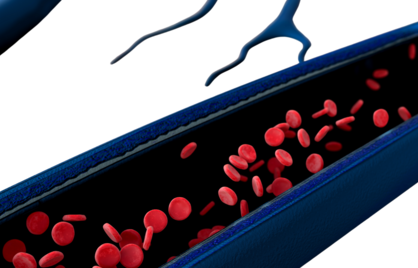 Wat is de normaalwaarde van erytrocyten en waarom is dit belangrijk voor jouw gezondheidscontroles?