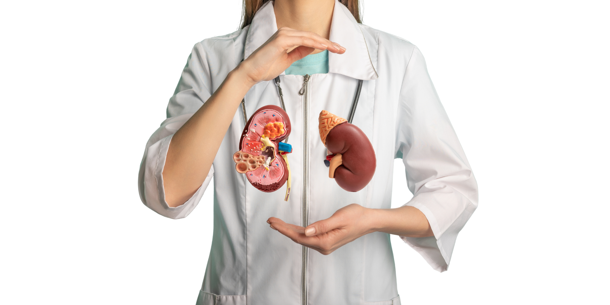 Wat is een normale nierfunctie waarde? - Bloedwaardentest.nl