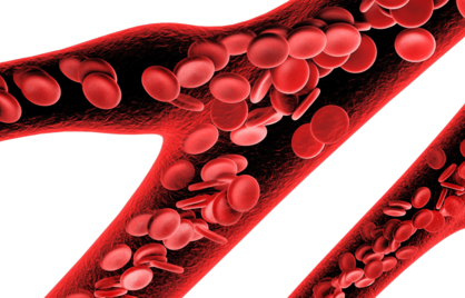 What is a normal hematocrit value?