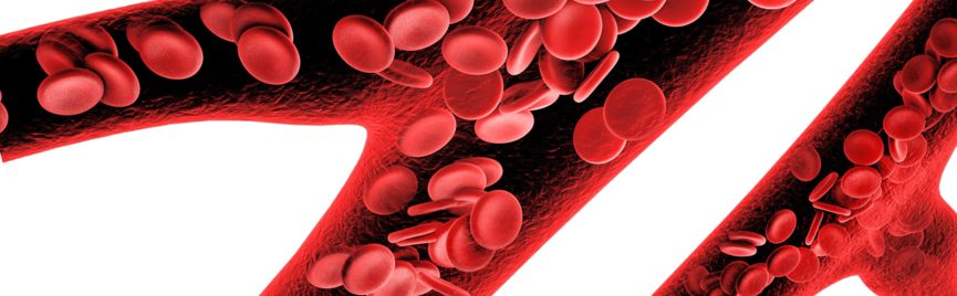 What is a normal hematocrit value?