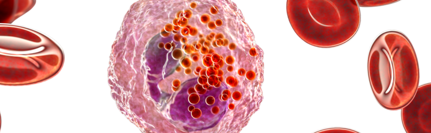 Verhoogde Eosinofielen, normale waarden - Wat het betekent voor je gezondheid