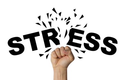 Zoekwoorden in Nederland rondom adaptogenen